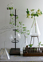 Better living through chemistry? We like to repurpose vintage laboratory equipment to make vases...: 