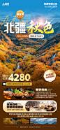 北疆秋天秋季赏秋旅行旅游海报