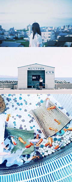 夏的复制品采集到夏天的蓝和绿