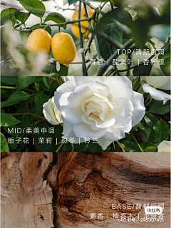 炸板子采集到小红书