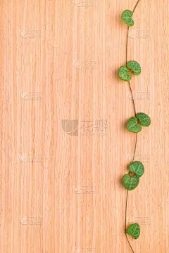 卷须,枝,纹理,绿色,木制,自然美,垂直画幅,无人,平视角,（血管、淋巴管、神经等的）丛