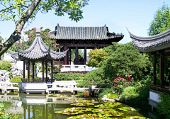 NIO晨采集到图