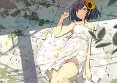 ╰☆╮玖采集到【南巷挽清风】Sakura