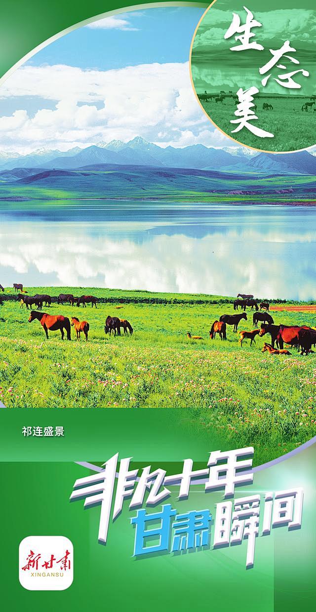 「微海报」非凡十年 甘肃瞬间