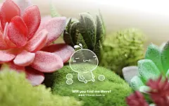 可爱油爆叽丁电脑壁纸～小透明