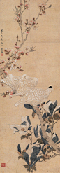 陈之佛花鸟作品欣赏