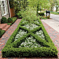 Colonial Williamsburg parterre: 