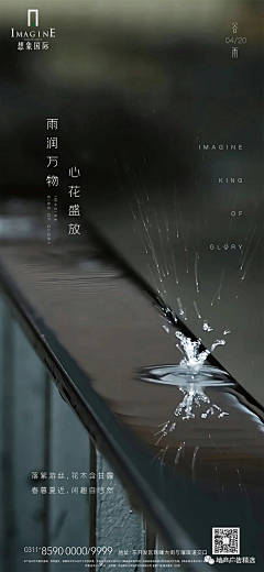 蓝二的兔子丶采集到节气_春