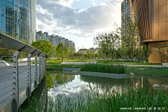 顺景新品：大望京中央公园 – 艺术、科技、商务、生态的城市名片