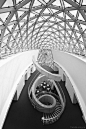 Dali Museum's Spiral Staircase | #Information #Informative #Photography