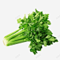 绿色新鲜芹菜 青菜 香芹 元素 免抠png 设计图片 免费下载 页面网页 平面电商 创意素材