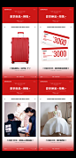 塞纳夏日新品预售