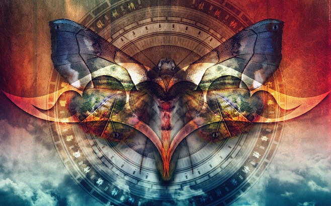 abstract moths Derek...