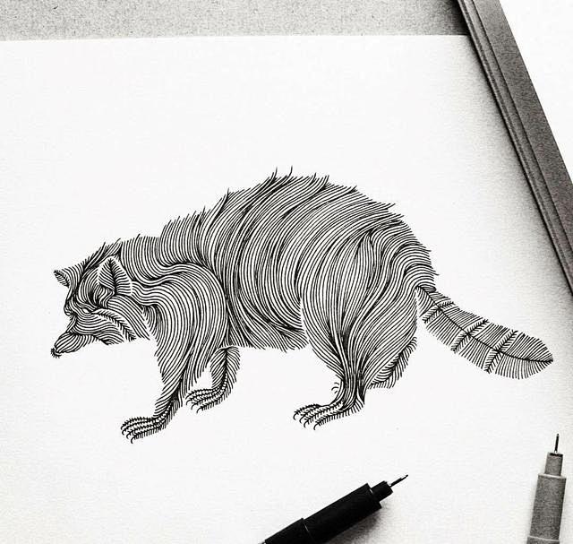 黑白线描动物手绘插画