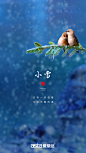 小雪