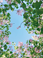 图片-sunweixin66