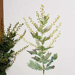 未央无双采集到插画-植物