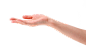 手 PNG