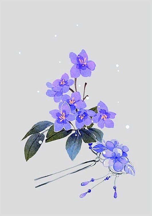 紫罗兰