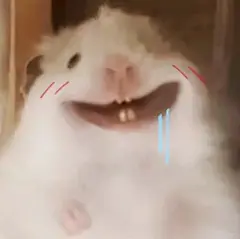 可爱的鼠鼠表情包