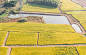 mooool-wuxiang-nature-school-by-youngasianscape-design-co-ltd8