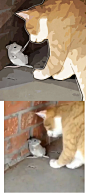 插画师 GENTLECAT 在社交网络上的作品通常是将动物照片“漫画化”14