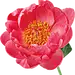 花png
