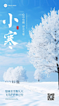 小寒节气祝福实景感手机海报