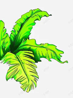 树叶底纹 创意素材