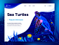 梁思 | Timberlake
Dribbble | Sea Turtle海上世界插画