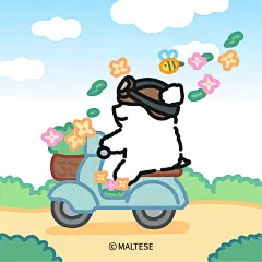 @线条小狗Maltese 的个人主页 - 微博
