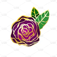 向量玫瑰花与金色轮廓，手绘插图。