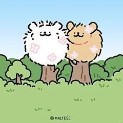 和小狗一起播种吧 - 小红书