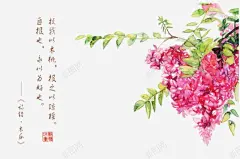 诗经花朵插画配图 免抠png 设计图片 免费下载 页面网页 平面电商 创意素材