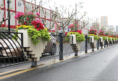 风满楼LY采集到道路景观