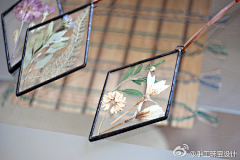 Jan-29采集到花