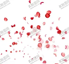 玫瑰 【酷图网】玫瑰花,玫瑰花花朵,玫瑰,手绘鲜花,手绘花朵,花,花朵,绿植,树叶,花草树木,花草,玫瑰花图片,玫瑰花壁纸,玫瑰花素材,素材图片,红玫瑰,月季花,鲜花,鲜花图片,鲜花素材,花瓣,服装印花,T恤印花,情人节,情人节图片,花卉,花蕊