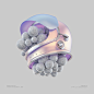 C4D.Material
