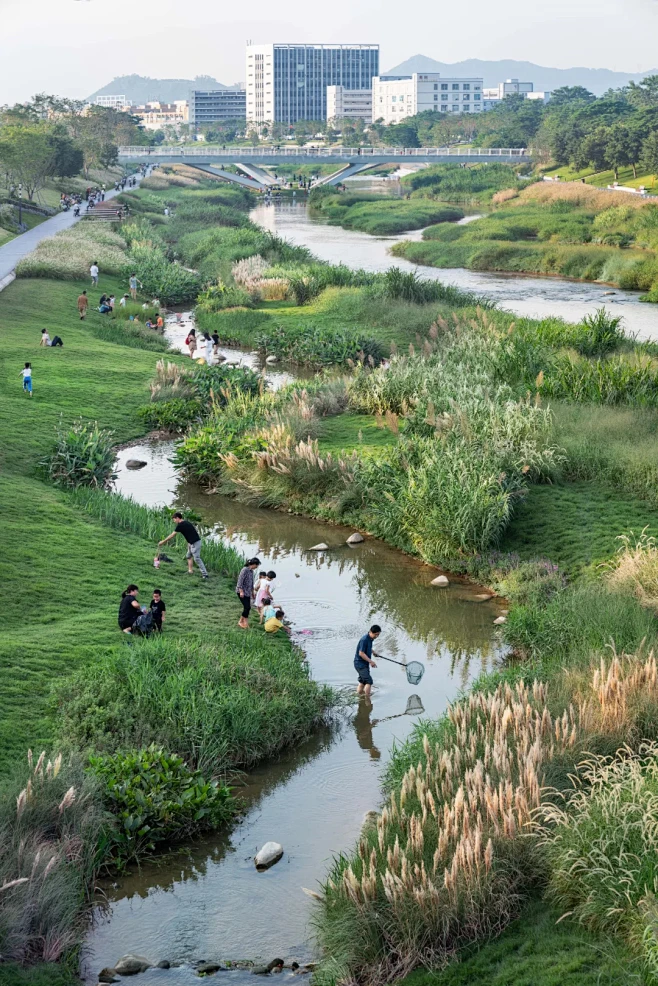 【EADG出品】重塑河道生命系统丨深圳茅洲河碧道·光明段生态修复试点-花瓣网
