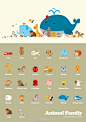 Animal poster for new born Baby
