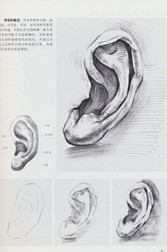 0力力0采集到绘画