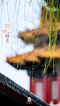 #爱上紫禁城#时光流淌，岁月变幻，2022年即将与我们挥手告别。这一年，每个人都留下了属于自己的难忘回忆。紫禁城的2022年记忆即将封存，愿这座城中的美好瞬间，温暖你、治愈你、鼓舞你，愿新的一年，一切皆如所愿。#政务微博这一年##约会博物馆##微盘点#​​​
