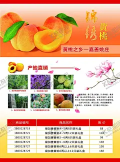 黄桃DM单页 【酷图网】黄桃,黄桃海报,黄桃单页,黄桃展板,黄桃DM,黄桃DM单,黄桃熟了,黄桃上市了,黄桃上市,新鲜黄桃,黄桃广告,黄桃素材,黄桃园,超市黄桃,水果店黄桃,黄桃芦荟,芦荟黄桃,桃元帅黄桃,黄桃批发,黄桃挂图,黄桃基地,桃子,桃子熟了,桃子上市了,桃子海报