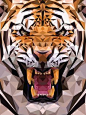 Geometric Tiger Made From Triangles - This is how 3-D animations are made in computer, though the triangles are much smaller, and there are lots lots more of them.