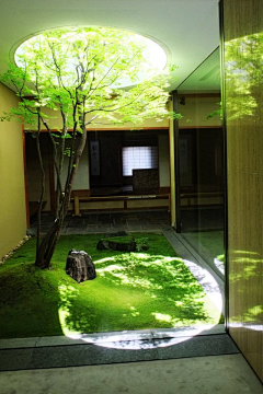 shuishuio采集到树洞