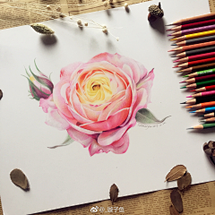 小小贝Daydayup采集到插画_纸绘