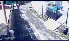 莫子璐采集到折理的话