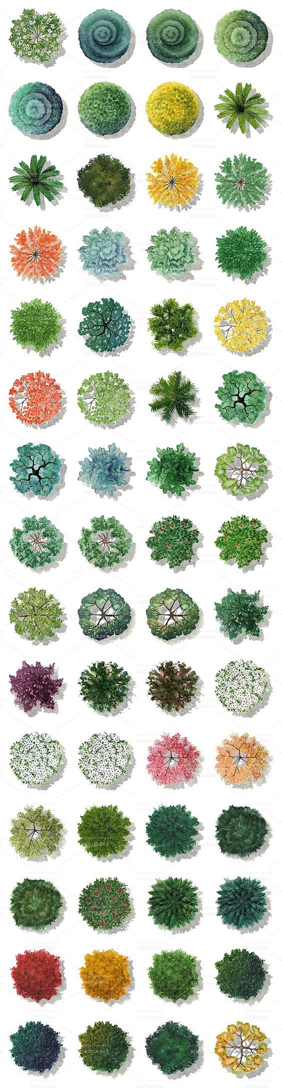 Hand-Drawn Trees by ...