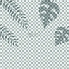 干酪藤,棕榈叶,阴影,背景,绘画插图,自然,多层效果,透明,叶子
