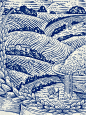 大米包装插画-版画_3_橙禾CHENGHE_来自小红书网页版